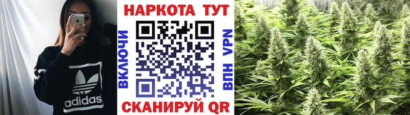 Наркошоп купить Каннабис  Псилоцибиновые грибы  ГАШ  Мефедрон  Псков