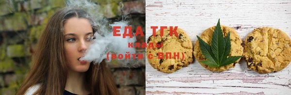 хмурый Гусь-Хрустальный