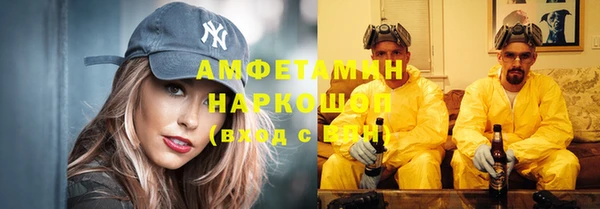 хмурый Гусь-Хрустальный