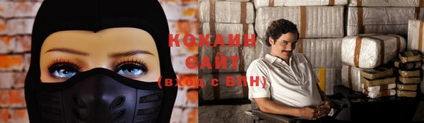 хмурый Гусь-Хрустальный