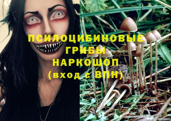 хмурый Гусь-Хрустальный