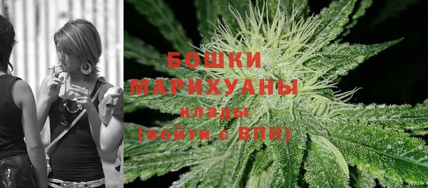 хмурый Гусь-Хрустальный