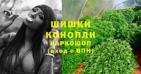 хмурый Гусь-Хрустальный
