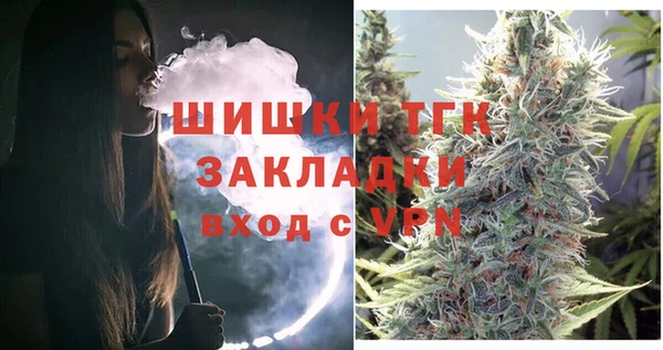 хмурый Гусь-Хрустальный