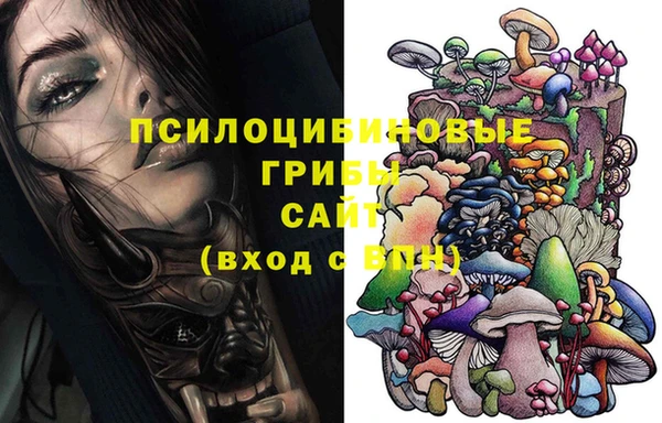 прущий лед Гусиноозёрск