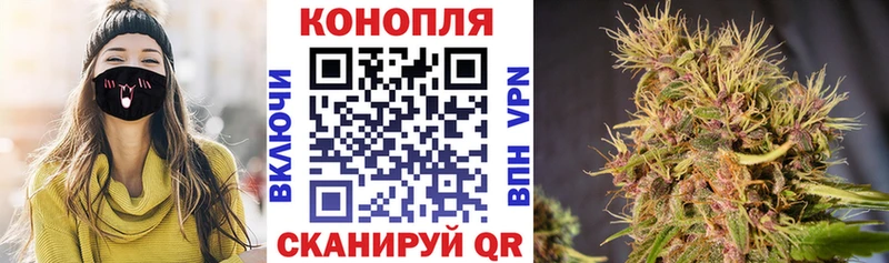 Купить закладки  Псков  МАРИХУАНА Amnesia 